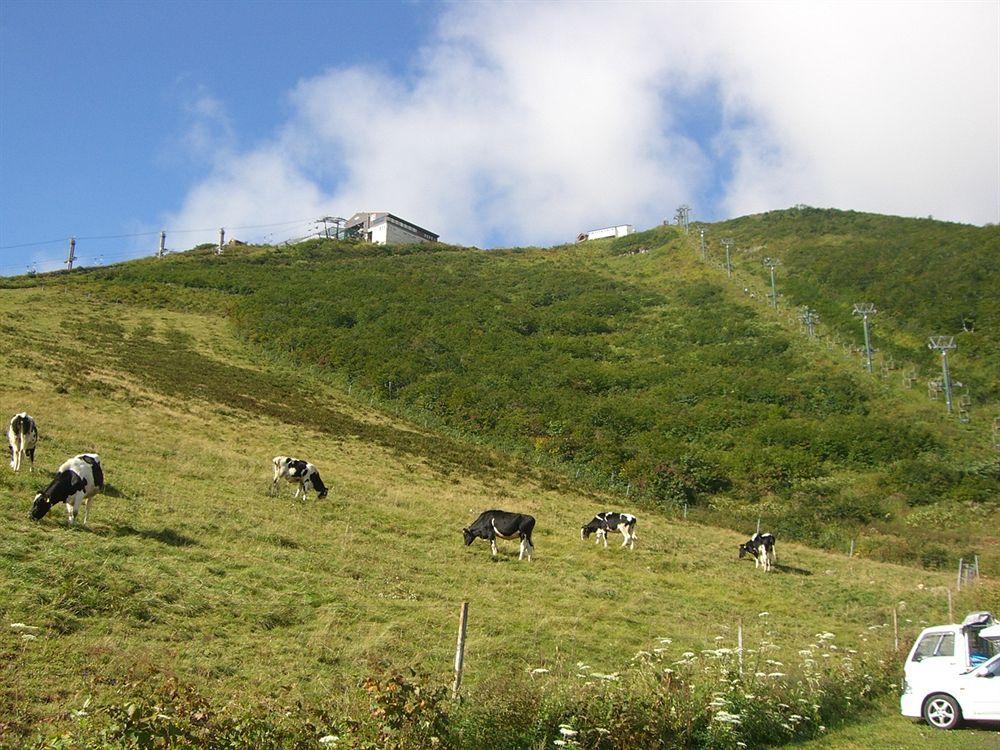 Il Bosco Villa Hakuba Buitenkant foto