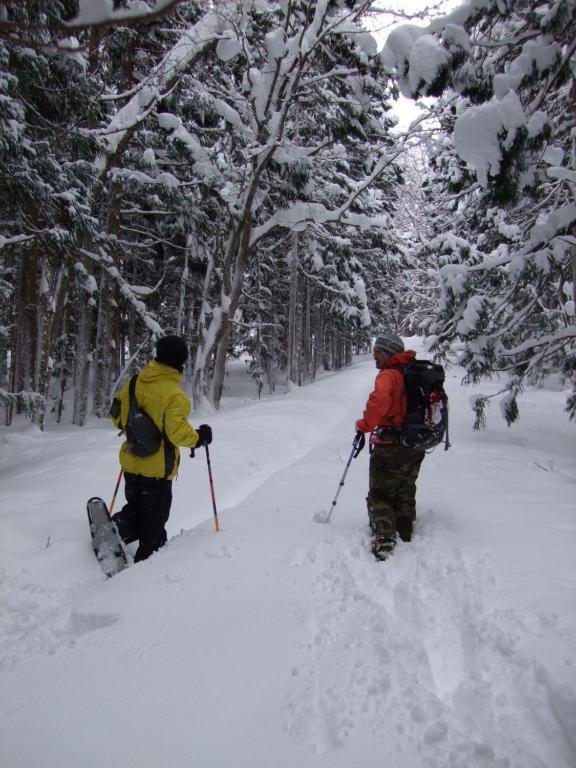 Il Bosco Villa Hakuba Buitenkant foto
