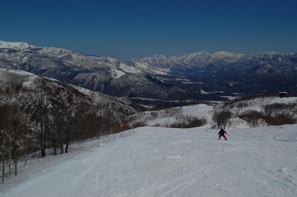 Il Bosco Villa Hakuba Buitenkant foto